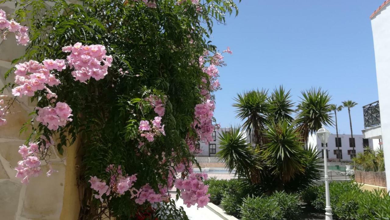 Tenerife Altamar Paradise Playa de las Americas  Exteriér fotografie